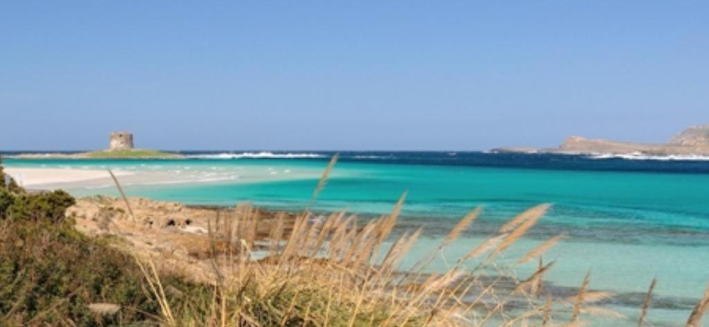 Appartamento La Pelosa Stintino Exteriér fotografie